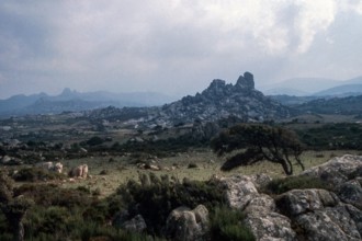 Nature, Italy, region of Sardegna 1975 Piana de Grandi Sassi - Valle della Luna (Plain of the Big