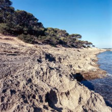 Nature, Italy, region of Sardegna 1975 Capo Teulada - Porto Pino (Teulada Cape - Porto Pino).