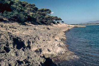 Nature, Italy, region of Sardegna 1975 Capo Teulada - Porto Pino (Teulada Cape - Porto Pino).
