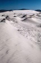 Nature, Italy, region of Sardegna 1975 Capo Teulada - Porto Pino (Teulada Cape - Porto Pino).