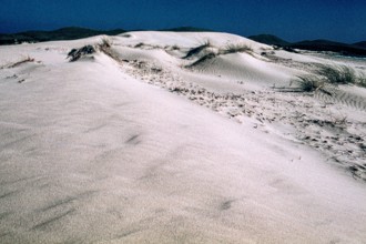 Nature, Italy, region of Sardegna 1975 Capo Teulada - Porto Pino (Teulada Cape - Porto Pino).