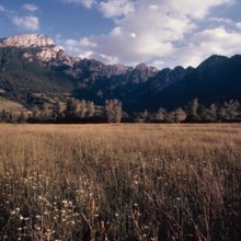 Nature, Italy, region of Abruzzo,  1975 Abruzzo Natural Park natural reserve.