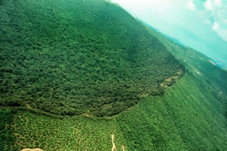 Nature, Italy, region of Campania, 1975 Astroni Crater natural reserve.