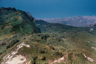 Nature, Italy, region of Campania, 1975 Ischia Monte Epomeo.