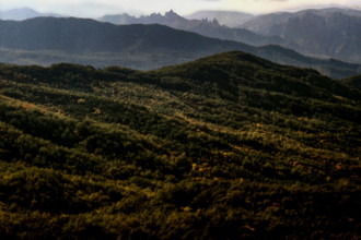 Nature, Italy, region of Basilicata, 1975 Dolomiti Lucane Regional Park.