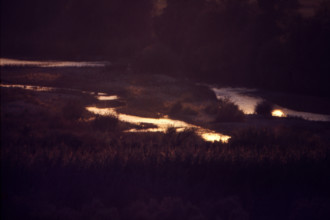 Nature, Italy, region of Basilicata-Calabria 1975 Mouth of the river Crati Regional Park.