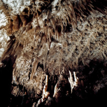 Nature, Italy, region of Puglia 1975 Grotte di Catellana (Castellana caves).