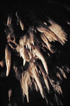 Nature, Italy, region of Puglia 1975 Grotte di Catellana (Castellana caves).