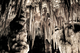 Nature, Italy, region of Puglia 1975 Grotte di Catellana (Castellana caves).