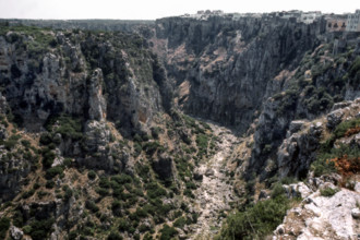Nature, Italy, region of Puglia 1975 Gravina di Castellaneta.