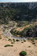 Nature, Italy, region of Puglia 1975 Gravina di Laterza.