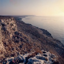 Nature, Italy, region of Puglia 1975 Costa del Salento (Salento coast).