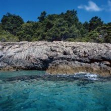 Nature, Italy, region of Puglia 1975 Isole Tremiti (Tremiti islands).