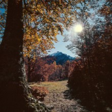 Nature, Italy, region of Calabria 1975 Comprensorio del Pollino - Monte Pollino (Pollino