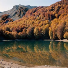 Nature, Italy, region of Calabria 1975 Comprensorio del Pollino - Monte Pollino (Pollino