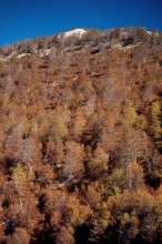 Nature, Italy, region of Calabria 1975 Comprensorio del Pollino - Monte Pollino (Pollino