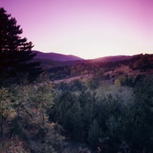 Nature, Italy, region of Calabria 1975 Sila Piccola (Little Sila).
