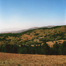 Nature, Italy, region of Calabria 1975 Sila Piccola (Little Sila).