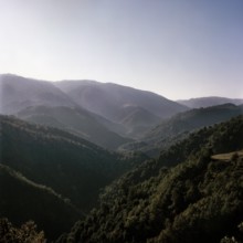 Nature, Italy, region of Calabria Serre Calabresi (Calabrese Greenhouses).