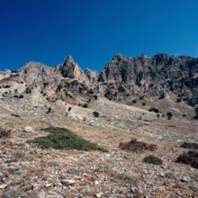 Nature, Italy, region of Sicilia 1975 Le Madonie (Tne Madonie).
