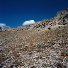 Nature, Italy, region of Sicilia 1975 Le Madonie (Tne Madonie).