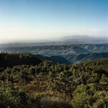 Nature, Italy, region of Sicilia 1975 Monti Peloritani (Peloritani Mountains).
