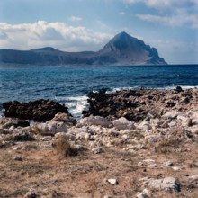 Nature, Italy, region of Sicilia 1975 Monte Cofano (Cofano Mountain).