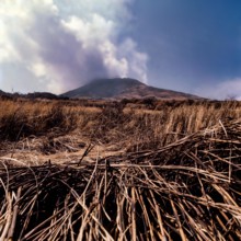 Nature, Italy, region of Sicilia 1975 Isole Eolie, Isola di Stromboli (Aeolian Islands, Stromboli