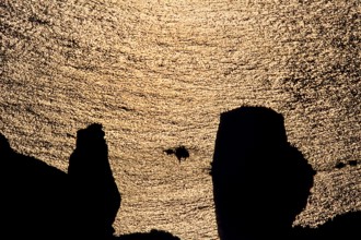 Nature, Italy, region of Sicilia 1975 Isole Eolie, Lipari Quattrocchi  (Aeolian Islands, Lipari