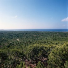 Nature, Italy, region of Sardegna 1975  Costa Occidentale Coruna Niedda - Is Arenas (West Coast
