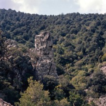 Nature, Italy, region of Sardegna 1975 Foresta dei Sette Fratelli (Seven Brothers Forest).