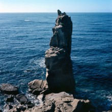 Nature, Italy, region of Sardegna 1975 Isola di San Pietro (San Pietro Island).