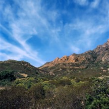 Nature, Italy, region of Sardegna 1975 Isola di San Pietro (San Pietro Island).