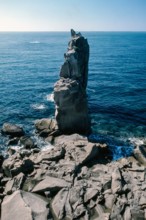 Nature, Italy, region of Sardegna 1975 Isola di San Pietro (San Pietro Island).