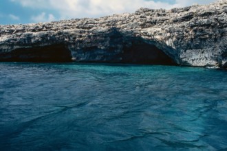 Nature, Italy, region of Sardegna 1975 Isola di San Pietro (San Pietro Island).