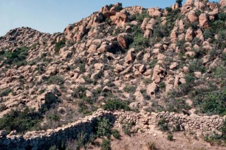 Nature, Italy, region of Sardegna 1975 Isola di San Pietro (San Pietro Island).