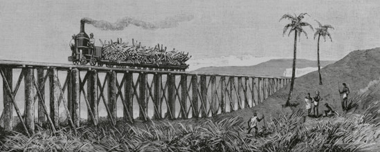 Mackay, Australia. Eastern coast of Queensland. Sugar cane production. Steam train for transporting