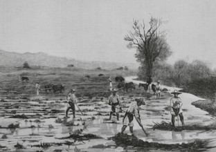 Mexico. Irrigating farmland. Engraving by Tomas Carlos Capuz (1834-1899). The Spanish and American