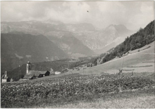 Potato field in Vilminore di Scalve