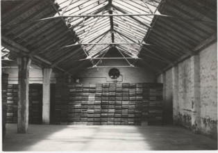 A room used for the presprouting phase of potatoes