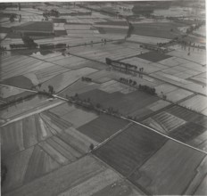 Paddy fields in Vercelli