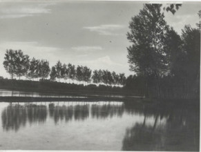Flooded paddy field in Italy, Pavia