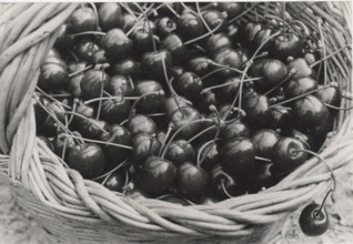 A basket of cherries