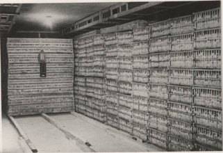 Horticolture industry cold room in SanBenedetto del Tronto,