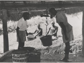 A coffee harvest is weighed at a local cooperative society's factory