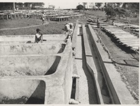 Fermentation tanks in Karatina, Kenya