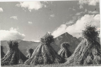 Hay bales in Sauze d'Oulx