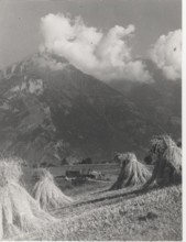Hay bales in Sauze d'Oulx