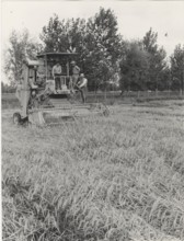 An harvester in the countryside near Vercelli