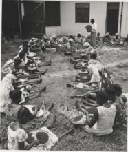 Handpicking cloves for export